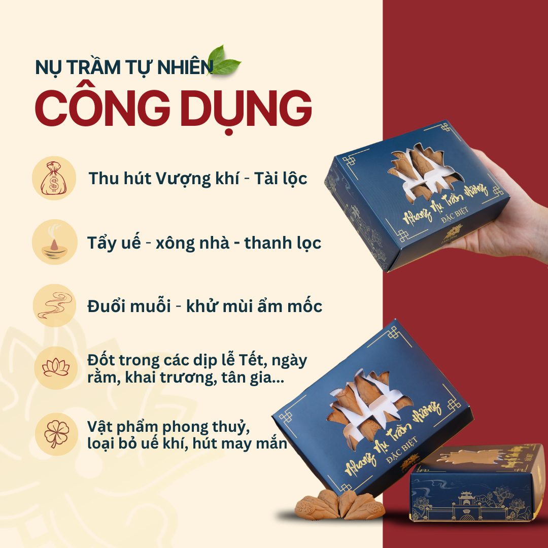 [MUA 2 TẶNG 1] Nụ Trầm Hương ĐẶC BIỆT (24 nụ/hộp) | Trầm Sạch | 100% Tự Nhiên | Xông Nhà | Tẩy Uế (Tổng 3 HỘP có 72 NỤ dáng búp sen)