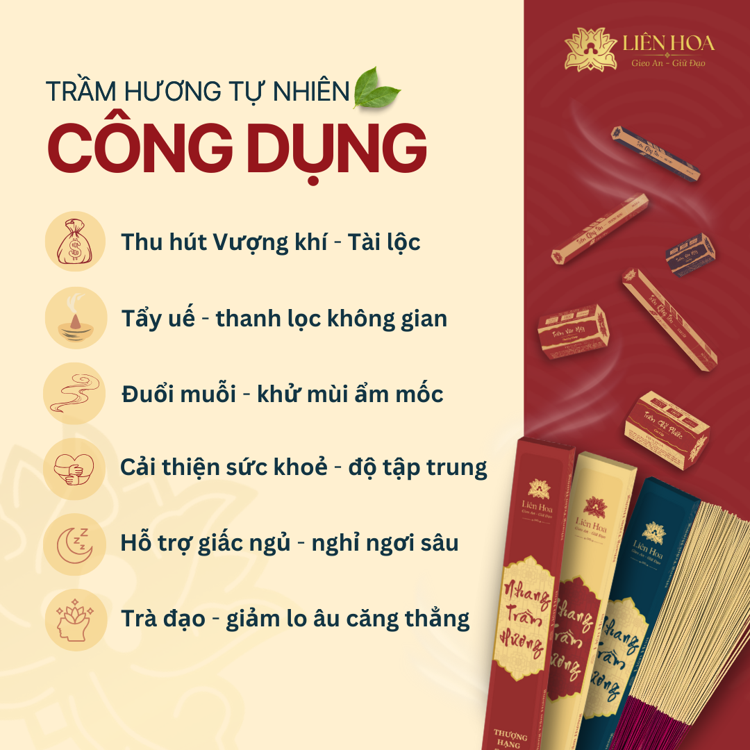 Combo Đặc Biệt - VÂN NGỌC CÁT LÀNH - Trầm Hương Liên Hoa - Nhang Cây và Trầm Vân Mây + TẶNG KÈM Trầm Không Tăm - Ảnh 5