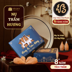 Nụ Trầm Liên Hoa | Đặc Biệt | 24 nụ