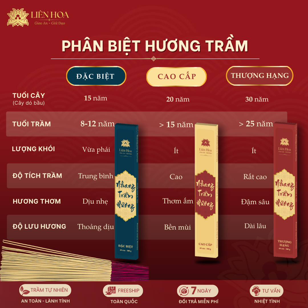 Nhang Trầm 49cm CAO CẤP (100gr - 300gr) | Trầm Sạch | Thơm Ấm | 100% Tự Nhiên | Thờ Cúng