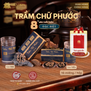 Trầm Chữ Phước ĐẶC BIỆT (Tiểu - Đại) - 10 miếng | Sạch | Thơm Dịu | 100% Tự Nhiên | Phong Thủy