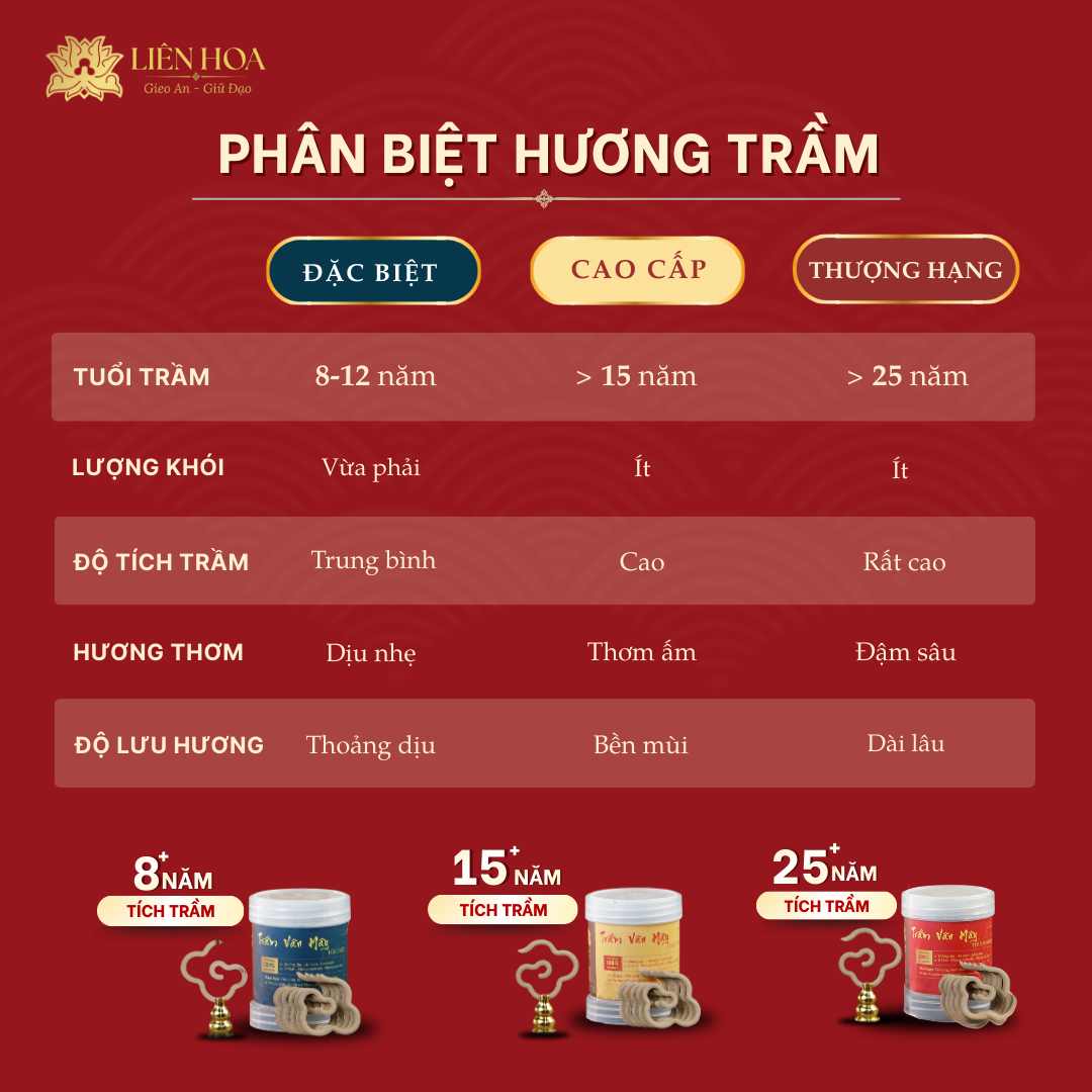 Trầm Vân Mây ĐẶC BIỆT (Tiểu - Đại) | Sạch | Thơm Dịu | 100% Tự Nhiên | Phong Thủy - Ảnh 4