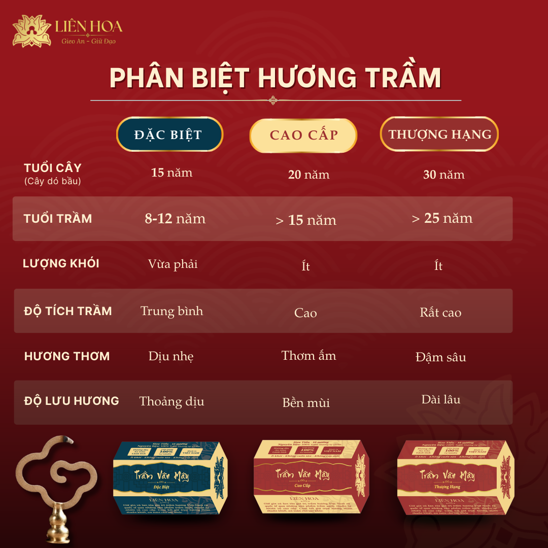 Trầm Vân Mây THƯỢNG HẠNG (Tiểu - Đại) | Sạch | Thơm Sâu | 100% Tự Nhiên | Phong Thủy - Ảnh 4