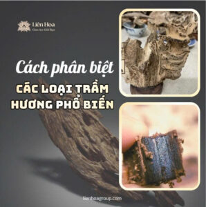 phân biệt trầm hương tự nhiên và trầm hương nhân tạo