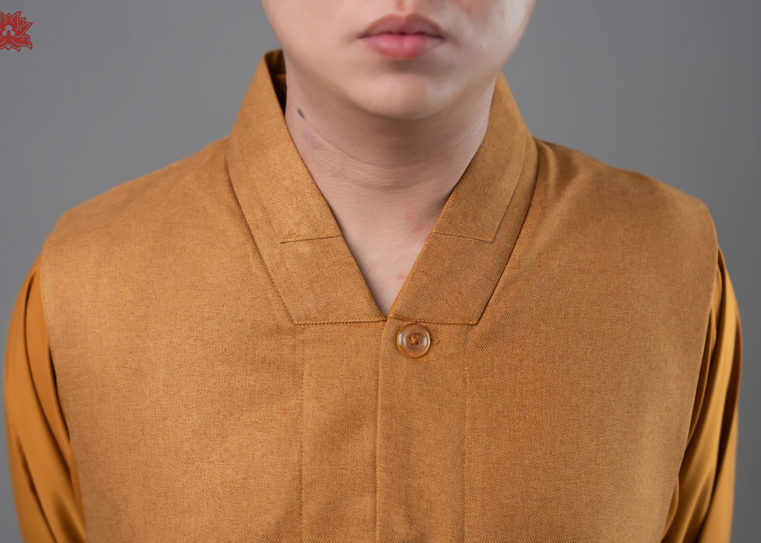 Ghi lê lót nhung (Bò vàng)