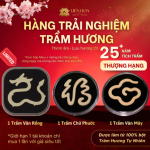[Hàng Trải Nghiệm] MIẾNG TRẦM THƯỢNG HẠNG | 25+ năm tích trầm | Thơm Sâu | Trầm Hương 100% Tự Nhiên | Phong Thủy
