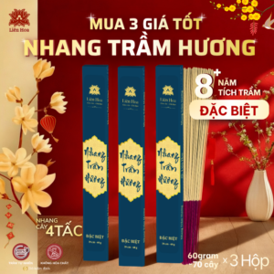 [MUA 3 GIÁ TỐT] Nhang Trầm ĐẶC BIỆT 39cm (60gr/hộp) | Trầm Sạch | Thơm | 100% Tự Nhiên | Thờ Cúng  (Nhang 4 Tấc)