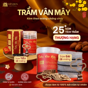 Trầm Vân Mây THƯỢNG HẠNG (Tiểu – Đại) |Sạch | Thơm Sâu| 100% Tự Nhiên | Phong Thủy