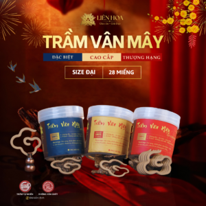 Trầm Vân Mây - 28 Miếng - ĐẶC BIỆT - CAO CẤP - THƯỢNG HẠNG | Đại | Trầm Hương Sạch | Thơm Lâu | 100% Tự Nhiên | Phong Thủy