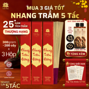 [MUA 3 GIÁ TỐT] Nhang Trầm 49cm THƯỢNG HẠNG (300gr/hộp) | Trầm Sạch | Thơm | 100% Tự Nhiên | Thờ Cúng (Hương 5 Tấc thắp Tết)