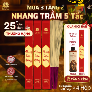 [MUA 3 TẶNG 2] Nhang Trầm 49cm THƯỢNG HẠNG (100gr/hộp) | Trầm Sạch | Thơm | 100% Tự Nhiên | Thờ Cúng (Hương 5 Tấc thắp Tết)
