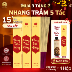 [MUA 3 TẶNG 2] Nhang Trầm CAO CẤP 49cm(300gr/hộp) | Trầm Sạch | Thơm | 100% Tự Nhiên | Thờ Cúng (Nhang 5 Tấc)
