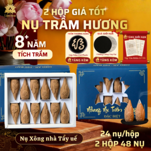 [2 Hộp] Nụ Trầm Đặc Biệt - Xông Nhà Tẩy Uế (24 nụ/hộp)| Trầm Hương Sạch8+ Năm Tuổi | Tự Nhiên (Combo 48 NỤ thác khói - dáng búp sen) Combo 2 Giá Tốt