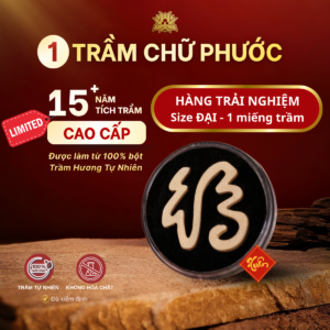 [Hàng Trải Nghiệm] MIẾNG TRẦM CAO CẤP | 15+ năm tích trầm |  Thơm Sâu | Trầm Hương 100% Tự Nhiên | Phong Thủy (Nhiều lựa chọn)