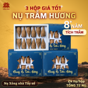 [3 Hộp Giá Tốt] Nụ Trầm Đặc Biệt – Xông Nhà Tẩy Uế (24 nụ/hộp) | Trầm Hương Sạch 8+ Năm Tuổi | Tự Nhiên (Combo 72 NỤ thác khói - dáng búp sen)