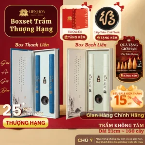 BoxSet Trầm Không Tăm - 21cm | Thượng Hạng | Hàng Xuất Khẩu | Trầm Sạch | Thơm 100% Tự Nhiên | Phong Thủy [Quà Tặng Cao Cấp]