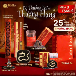 Bộ Thưởng Trầm Thượng Hạng - Trầm Chữ Phước + Vân Mây + Không Tăm