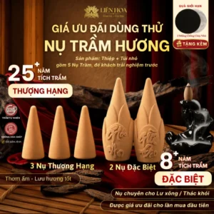 [CHỈ TÍNH SHIP] Nụ Trầm Hương Trải Nghiệm Liên Hoa (5 Nụ) | Trầm Tự Nhiên - Thanh Lọc Không Gian - Thưởng Trầm