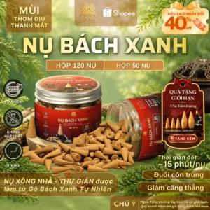[ƯU ĐÃI GIỚI HẠN] Nhang Nụ Bách Xanh (50 - 120 Nụ) Tự Nhiên Ít Khói | Thờ cúng - Xông nhà - Thư giãn | Gỗ Bách Xanh