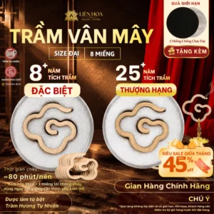 [HÀNG MỚI VỀ] Trầm Vân Mây 8 Miếng | Hương Thơm Tự Nhiên Ít Khói | Không Hóa Chất Liên Hoa