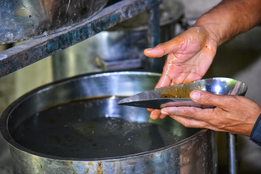 Bàn tay người thợ vớt lớp tinh dầu trầm trong nồi chưng cất